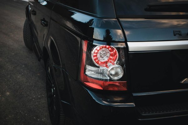 Welche Rolle spielen Haustiere bei der sozialen Interaktion?